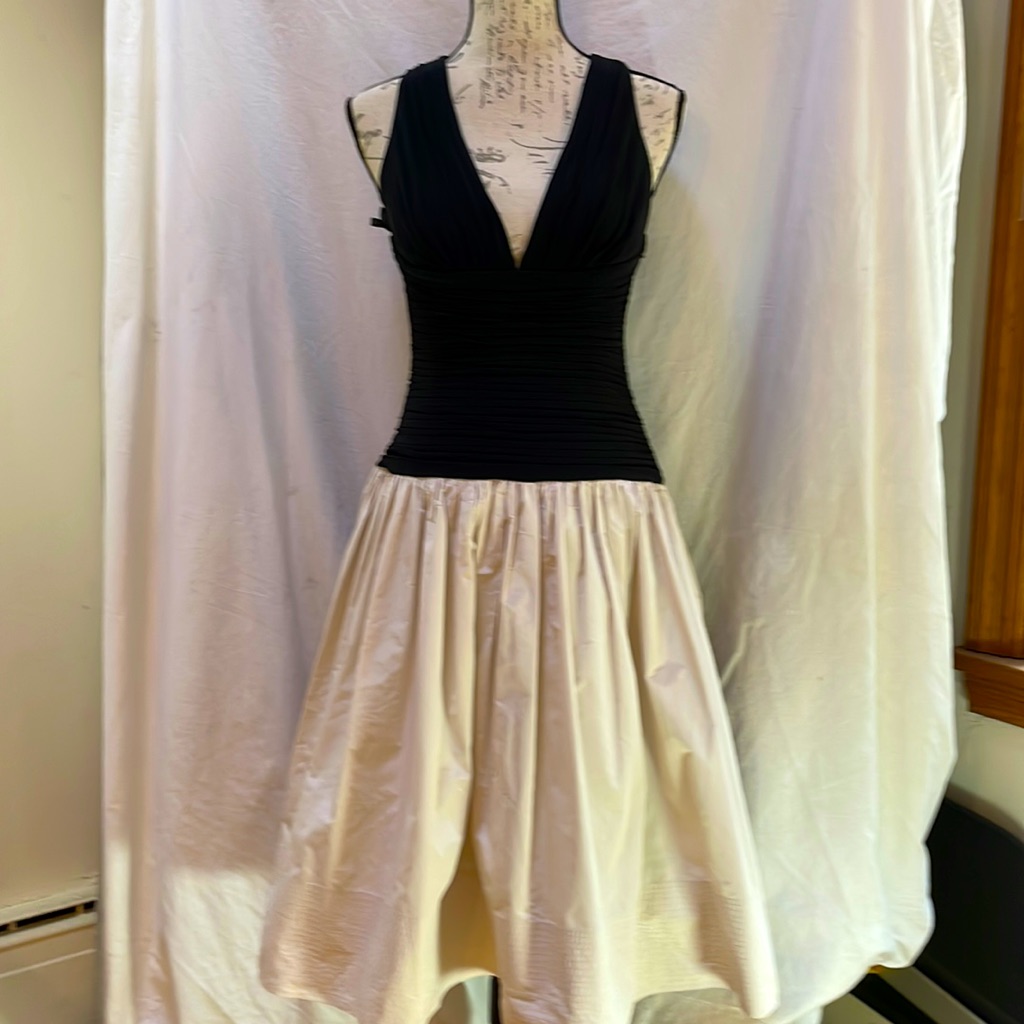 Bcbg Maxazria Party Dress Nwt